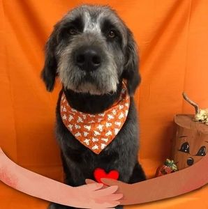 Meet your Posher, Cathy